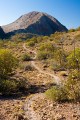 Larapinta_20080606_294 copy